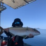 2026年6月の沖縄釣りガイド｜梅雨明け目前！夏の魚たちが本気出す季節🌺🎣