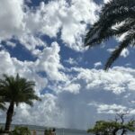 【2025年6月〜7月】今が旬！梅雨明け〜初夏の沖縄で何が釣れる？