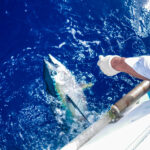 夏の沖縄で「釣れたらスゴイ！」珍魚＆大物ランキング