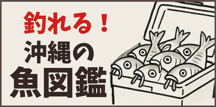 魚図鑑