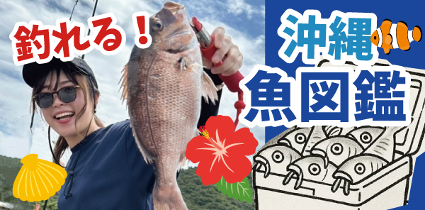 魚図鑑
