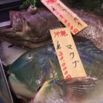 【マクブとは？】沖縄で人気の高級魚！釣り方・味・食べ方まで徹底解説
