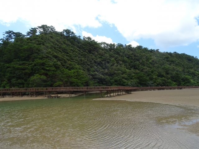 大浦川